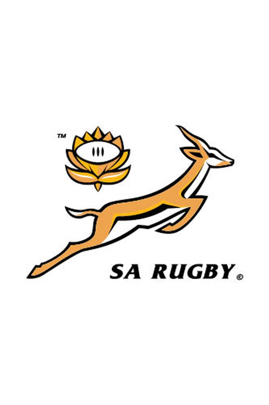SA Rugby logo